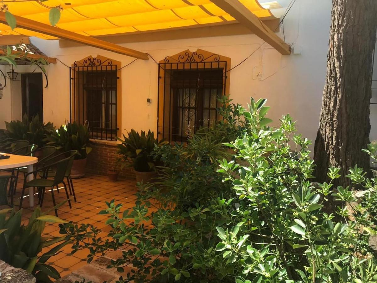 Paredejas Del Rey Priego De Cordoba Luaran gambar
